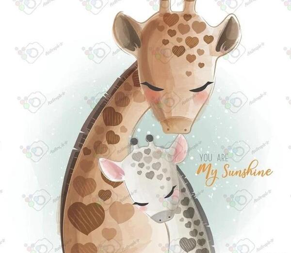عکس بچه زرافه ناز