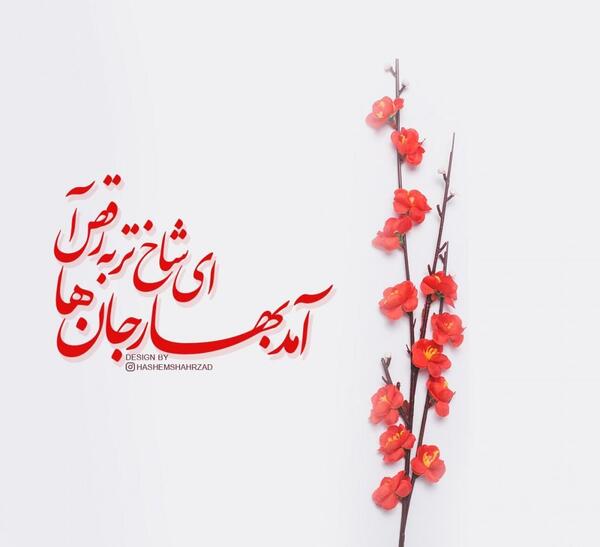 عکس آمد بهار جان ها