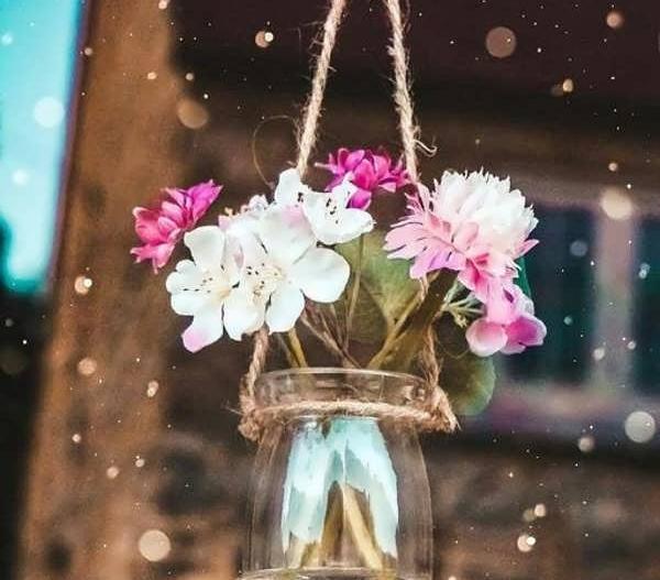 عکس گل لاکچری برای پروفایل