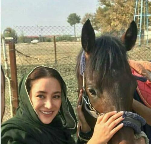 عکس اسب های سردار آزمون