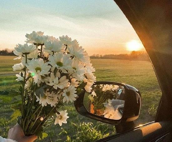 عکس زیبای بهاری برای پروفایل