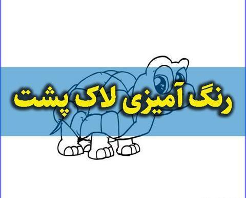عکس بچه لاک پشت بامزه