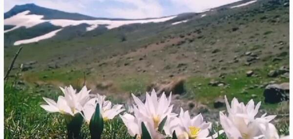 عکس روستای بهار