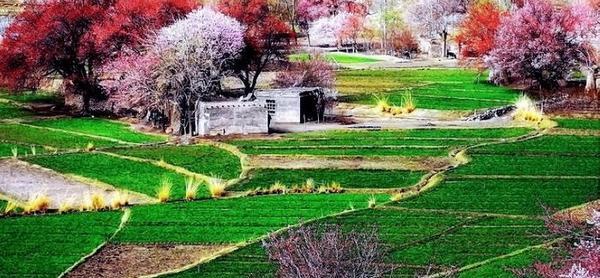 عکس بهار ایرانی