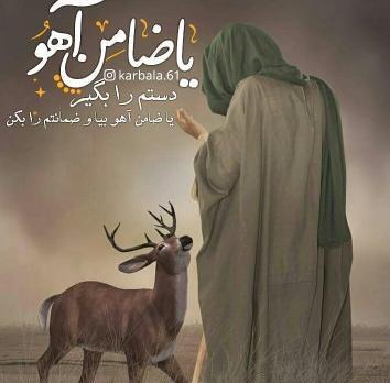 عکس های ضامن آهو