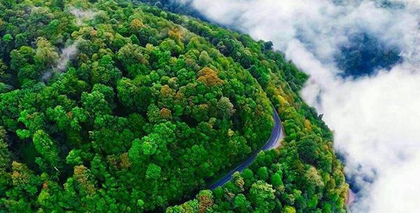 عکس از طبیعت بکر جهان