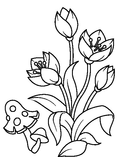 عکس گل ساده برای طراحی