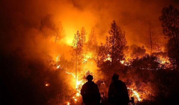 عکس آتش سوزی جنگل کالیفرنیا