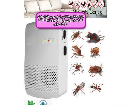 عکس بچه سوسک المانی