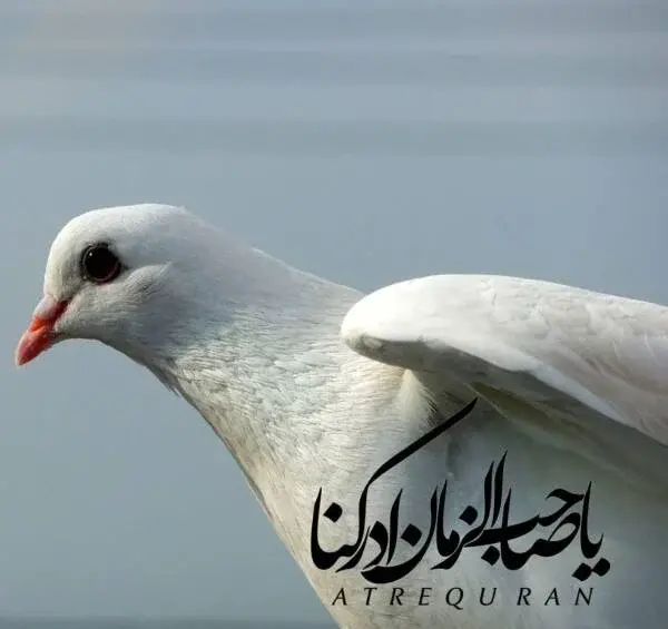 عکس در مورد امام زمان با متن