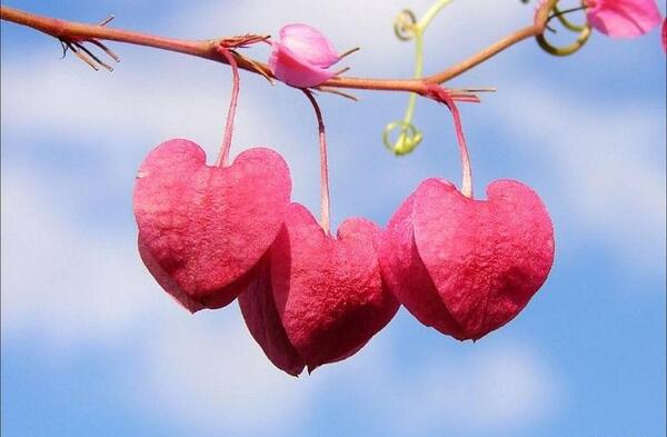 عکس عاشقانه زیبا برای مخاطب خاص