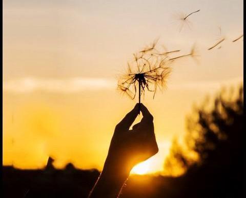 عکس پروفایل غروب آفتاب دخترانه