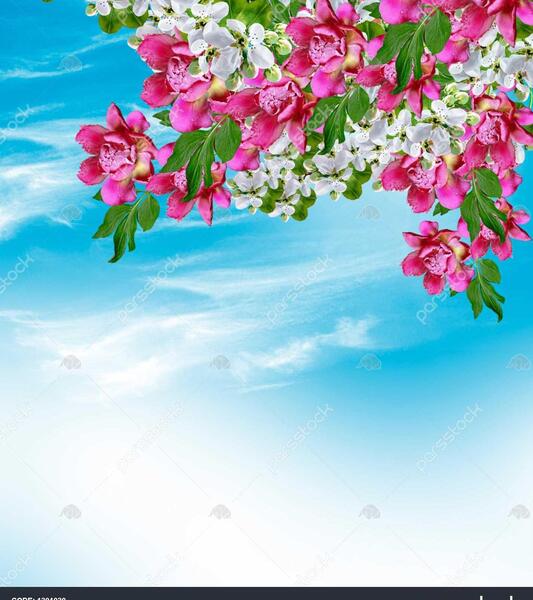 عکس والپیپر گلهای بهاری