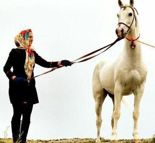 عکس اسب مشکی ترکمن
