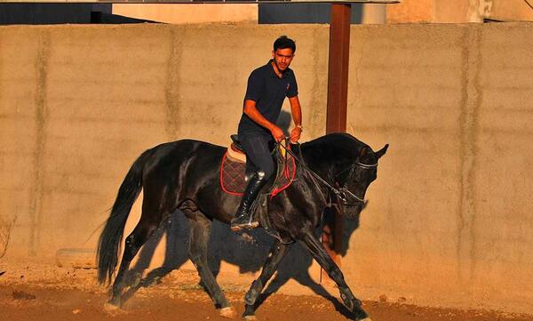 عکس اسب مشکی ترکمن