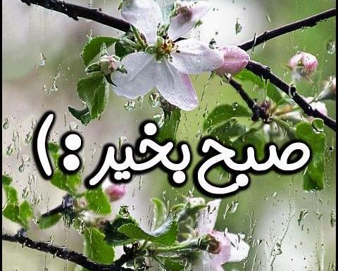 عکس سلام صبح بخیر بهاری