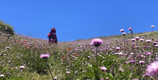 عکس هایی از طبیعت رشت