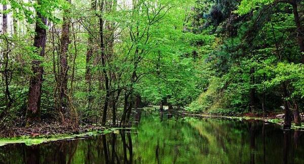 عکس هایی از طبیعت رشت