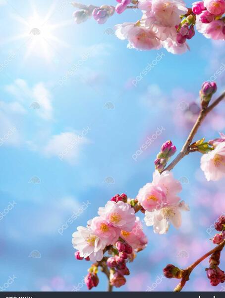 عکس پس زمینه ی بهاری