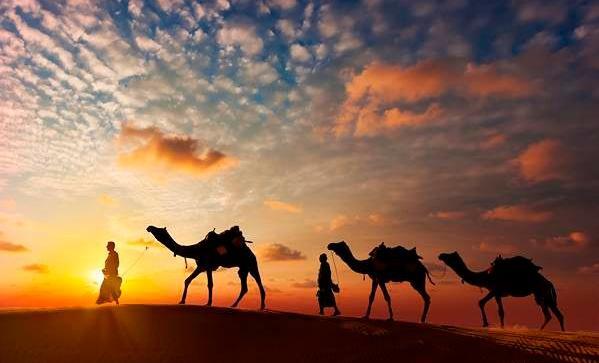 عکس نقاشی شتر بچه گانه
