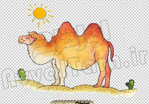 عکس نقاشی شتر بچه گانه