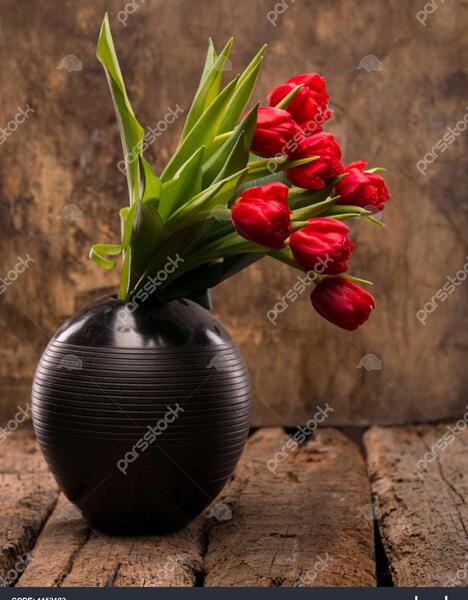 عکس سیاه سفید گل لاله