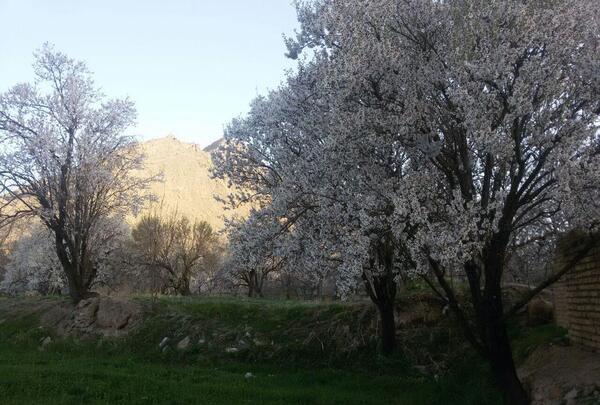 عکس های طبیعت گلپایگان