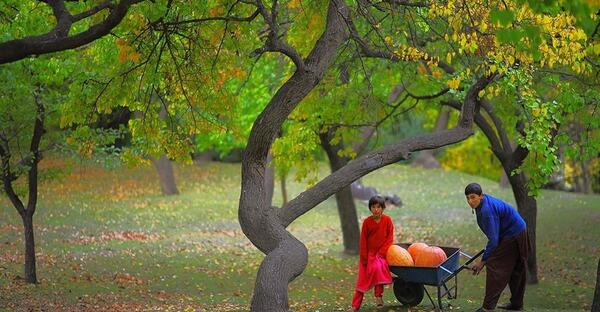 عکس از طبیعت پاکستان