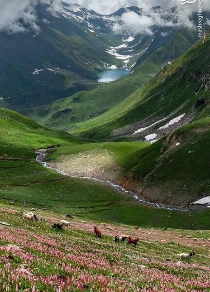 عکس از طبیعت پاکستان