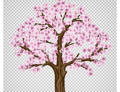 عکس درخت بهاری برای نقاشی