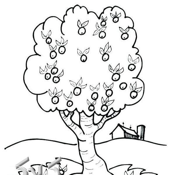 عکس درخت بهاری برای نقاشی