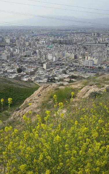 عکس هایی از طبیعت شیراز