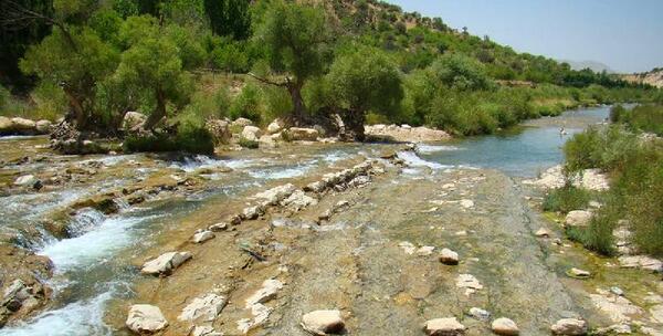 عکس هایی از طبیعت شیراز