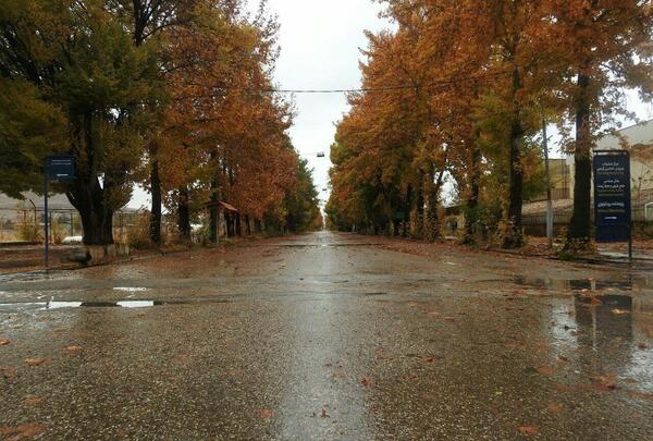 عکس هایی از طبیعت شیراز