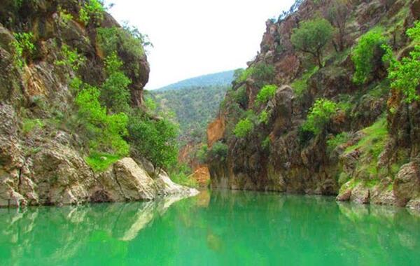 عکس هایی از طبیعت شیراز