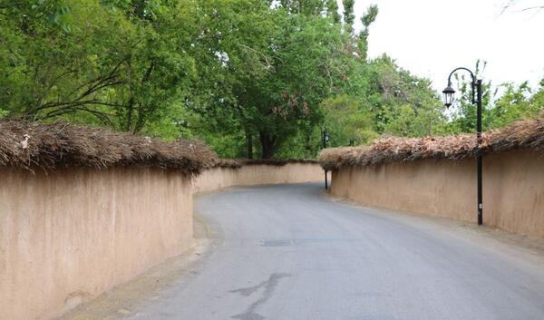 عکس هایی از طبیعت شیراز