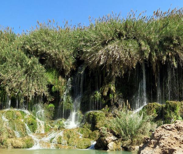 عکس هایی از طبیعت شیراز