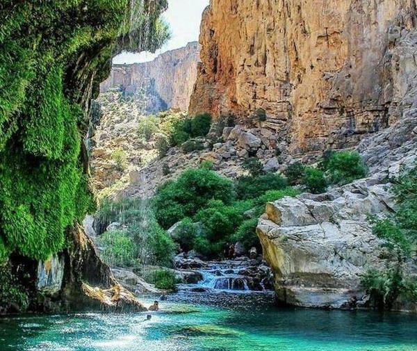عکس هایی از طبیعت شیراز