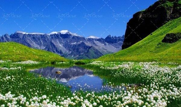 عکس بهار سر سبز