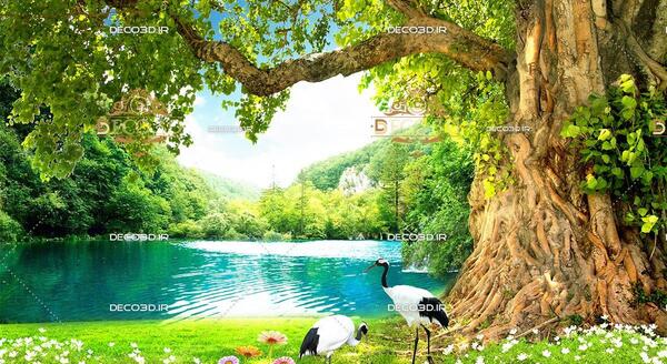 عکس بهار سر سبز