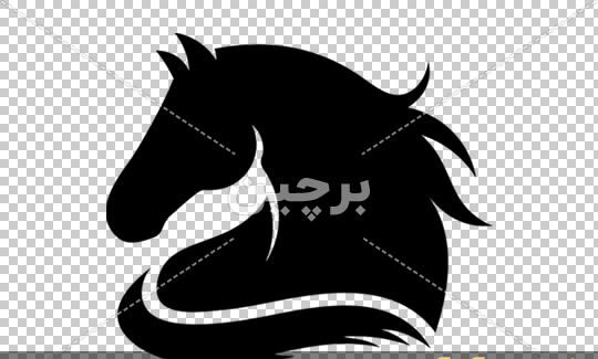 عکس سر اسب برای طراحی