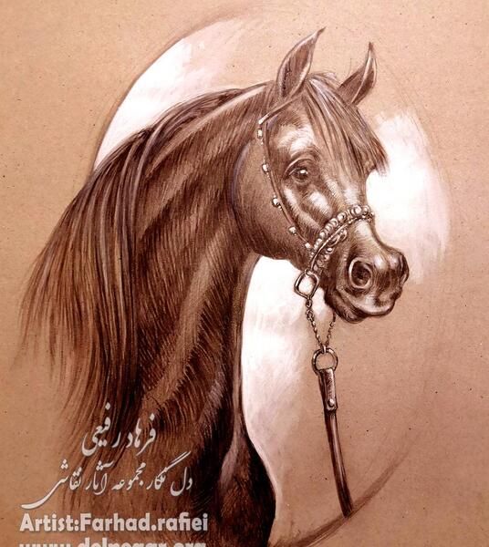عکس سر اسب برای طراحی
