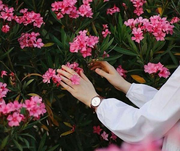 عکس حجاب زیبا با چادر غمگین