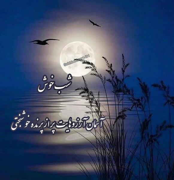عکس عاشقانه زیر آسمان شب