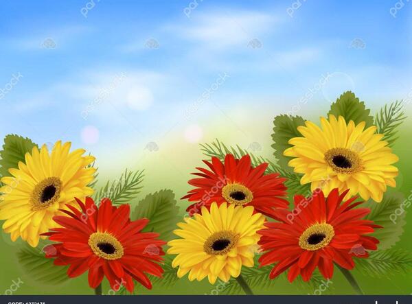 عکس طبیعت با گل های زیبا