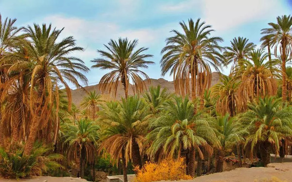 عکس های کویر ایران