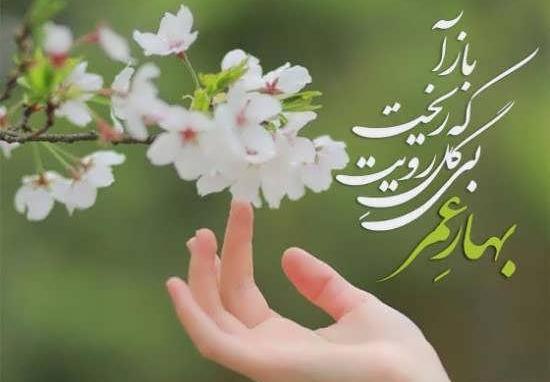 عکس پروفایل عاشقانه بهار
