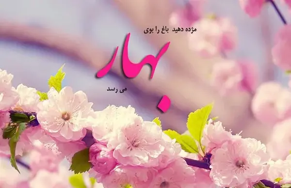 عکس پروفایل عاشقانه بهار