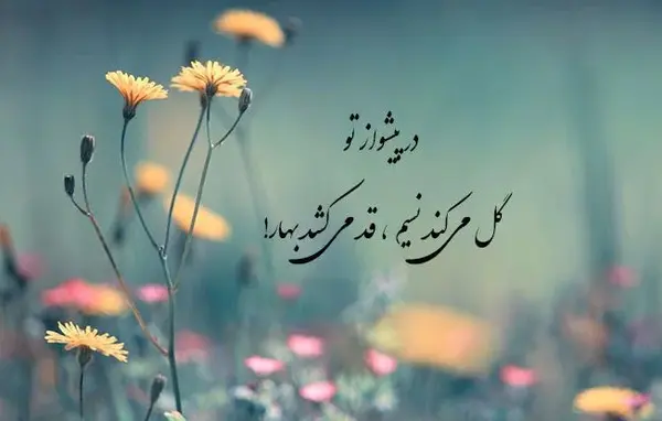 عکس پروفایل عاشقانه بهار