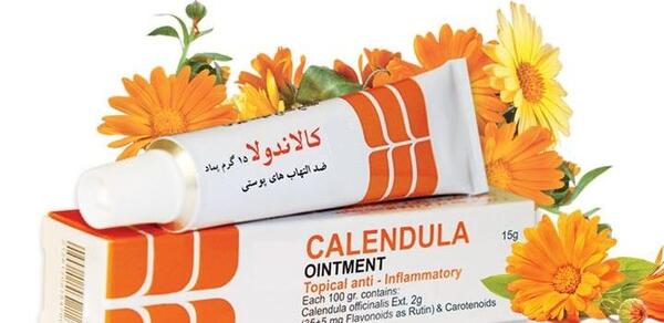 عکس گیاه گل همیشه بهار